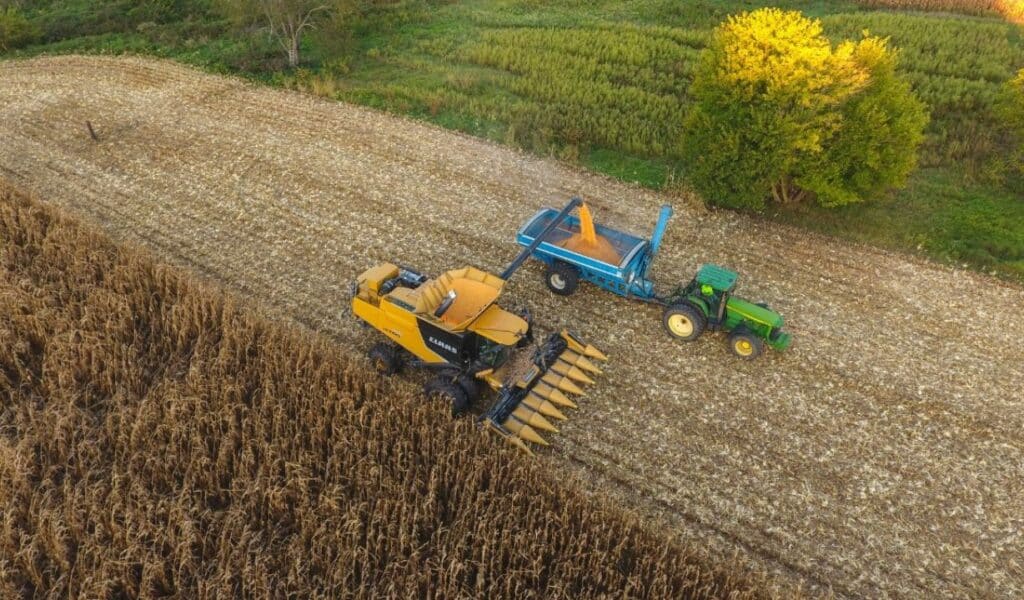 Áreas do Agro que Mais Geram Dinheiro