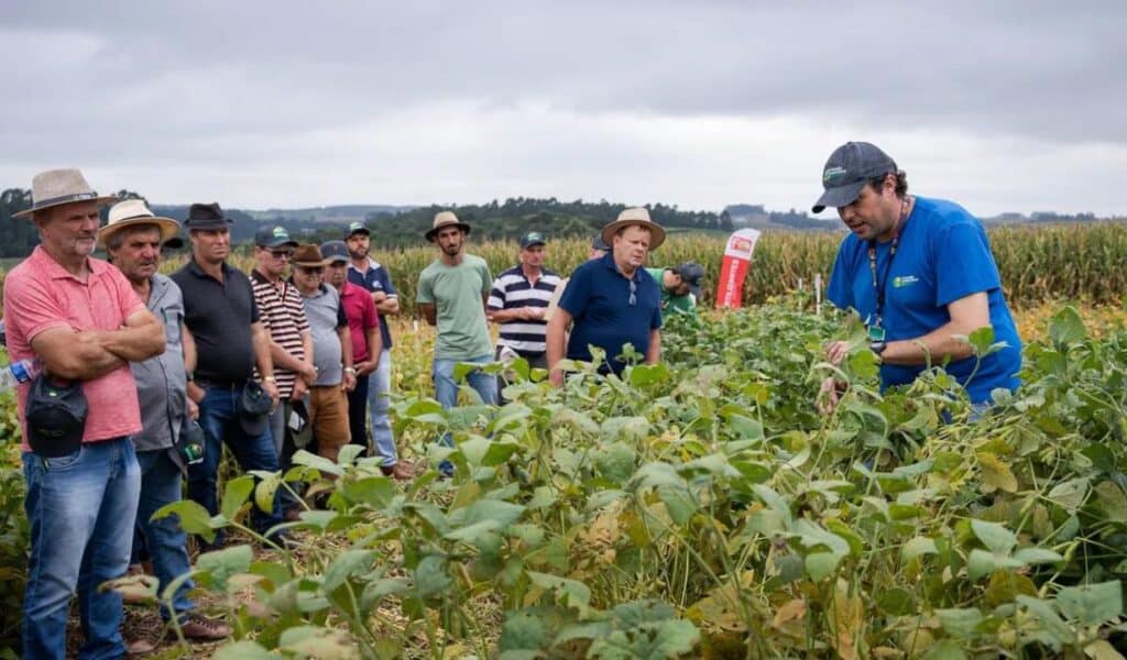 Cooperativas do Agronegócio Brasileiro