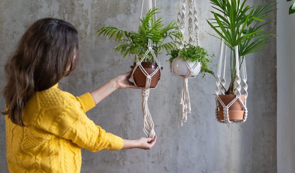 Decoração Interna com Plantas